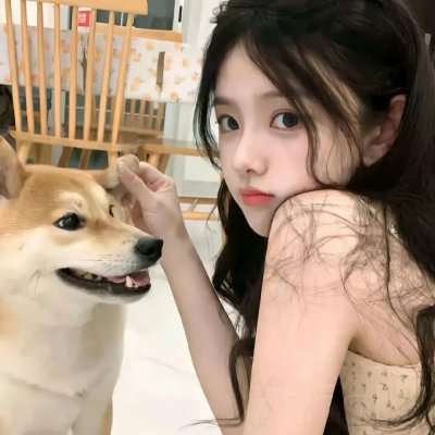 青春猪头少年不会梦到圣诞服女郎